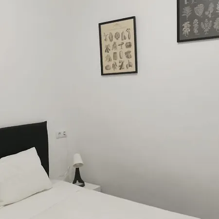 Lisbon's Cozy House Daire
